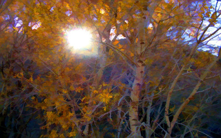 Illustration for article titled 611 Reasons Fall Is the Most Beautiful Season of All